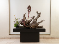 Ikebana en Museo Ralli 2022-80